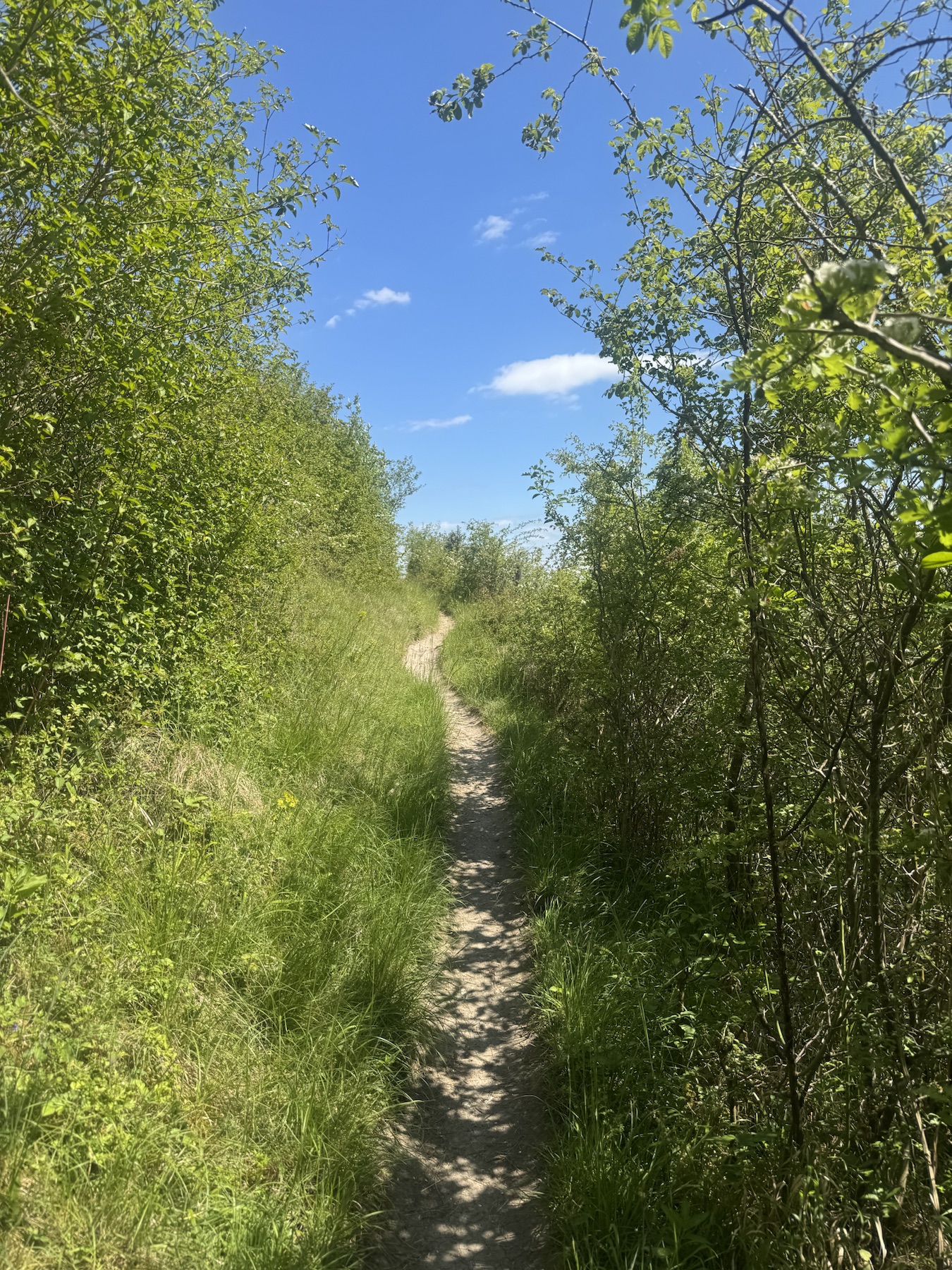 North Downs Way Section 4: Merstham to Oxted route photo